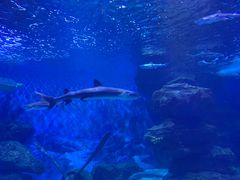 -多彩贵州城极地海洋世界