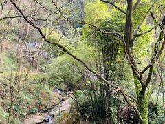 -南山植物园