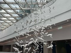 -中国湿地博物馆
