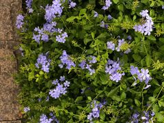 -强手盲人推拿·颈肩腰背调理(南新路店)