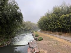 -杭州植物园