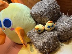 -小鸡哆哆故事屋·儿童乐园(嘉里城店)