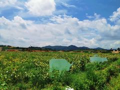 -光明小镇欢乐田园