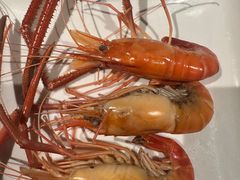 -昌隆•家家鹅乡•海南菜老字号(琼海店)