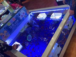 -卡通尼乐园(印象汇店)