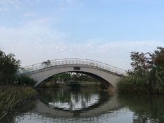 -上海长兴岛郊野公园