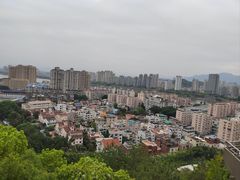 -福道