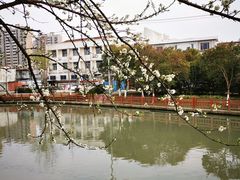-三林塘老街