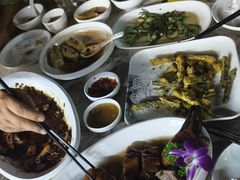 -鲤鱼塘农家山庄