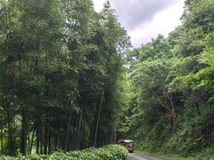 -黄公望隐居地