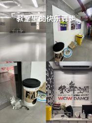 -我舞空间舞蹈培训