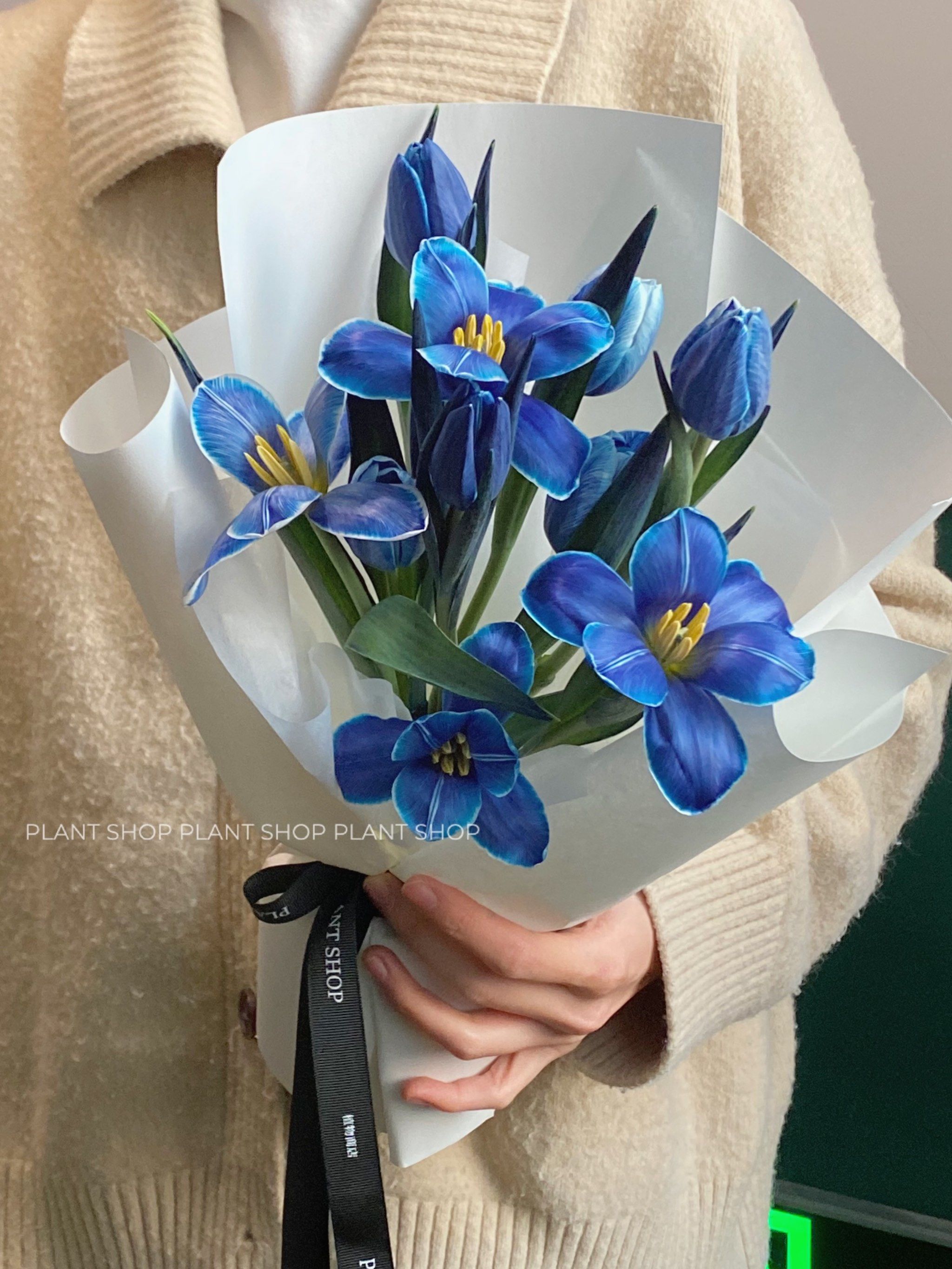 午夜蓝郁金香花束