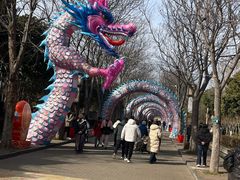 -洛阳市隋唐城遗址植物园