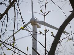 -长白岛森林公园