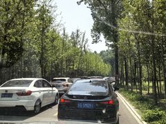 -秦皇岛野生动物园