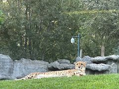 -北京野生动物园