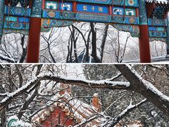-北京国子监胡同