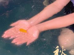 -台山颐和温泉城