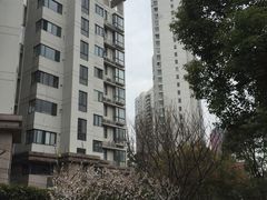-新湖明珠城