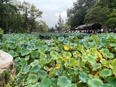 -韶山毛泽东同志故居