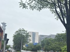-金鼎轩(鸟巢北辰荟店)