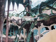 -疯狂屋