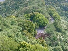 -杭州半山国家森林公园