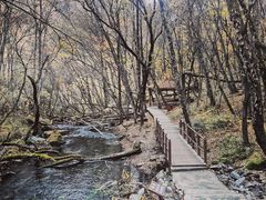 -叠溪松坪沟景区