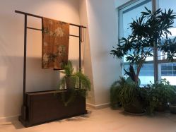 -柏姿舞蹈工作室