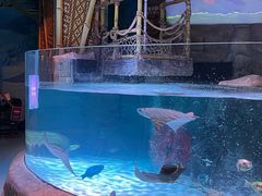 -沈阳海洋探索中心