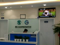 前台-瑞派·关忠动物医院·异宠专科·犬猫肿瘤·皮肤专科(望京店)