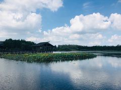 -溱湖国家湿地公园
