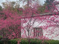 -乌山风景区