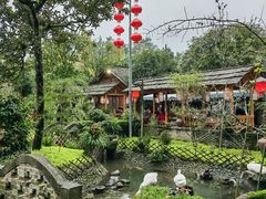 -青城甲(青城山店)