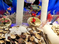 -比尔森韩式烤肉自助(绿园店)