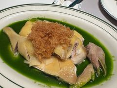 -新兴·金羊座·粤菜点心(乐峰店)