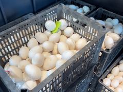 -单家老院·院子里的青岛菜(沙子口店)