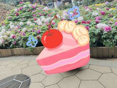 -花之城