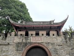 -桂湖森林公园