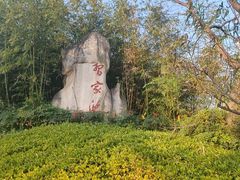 -习家池