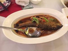 柯香鱼-鲍鱼王子(深圳大厦店)