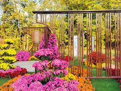 -上海共青森林公园