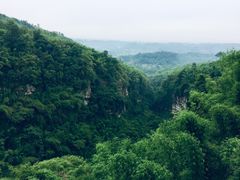 -川西竹海景区
