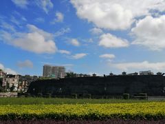 -石炮台公园