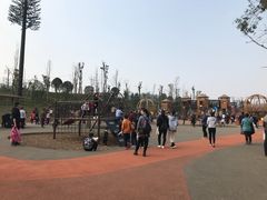 -枫香湖儿童公园