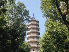 -灵谷景区