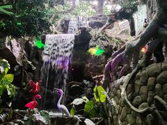 -多彩贵州城极地海洋世界