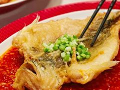 -圆苑(静安寺店)