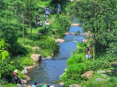 -云溪植物园