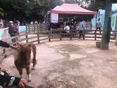 -昆明动物园